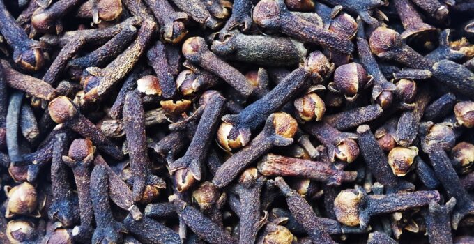 Métodos para eliminas las avispas