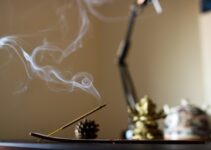 Métodos caseros para eliminar mosquitos