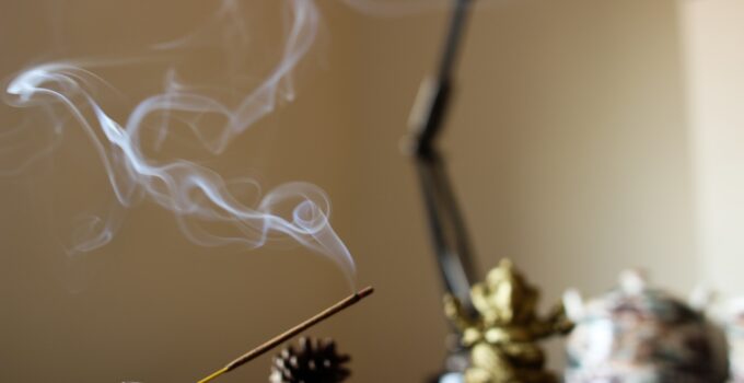 Métodos caseros para eliminar mosquitos