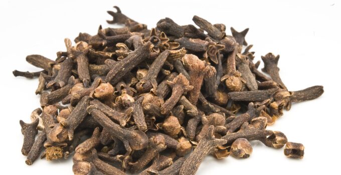 Como ahuyentar las carcomas