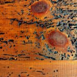Sacar la carcoma de la madera