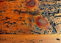 Sacar la carcoma de la madera