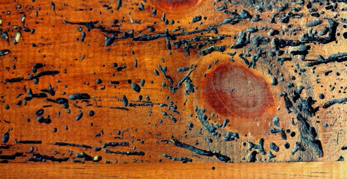 Sacar la carcoma de la madera