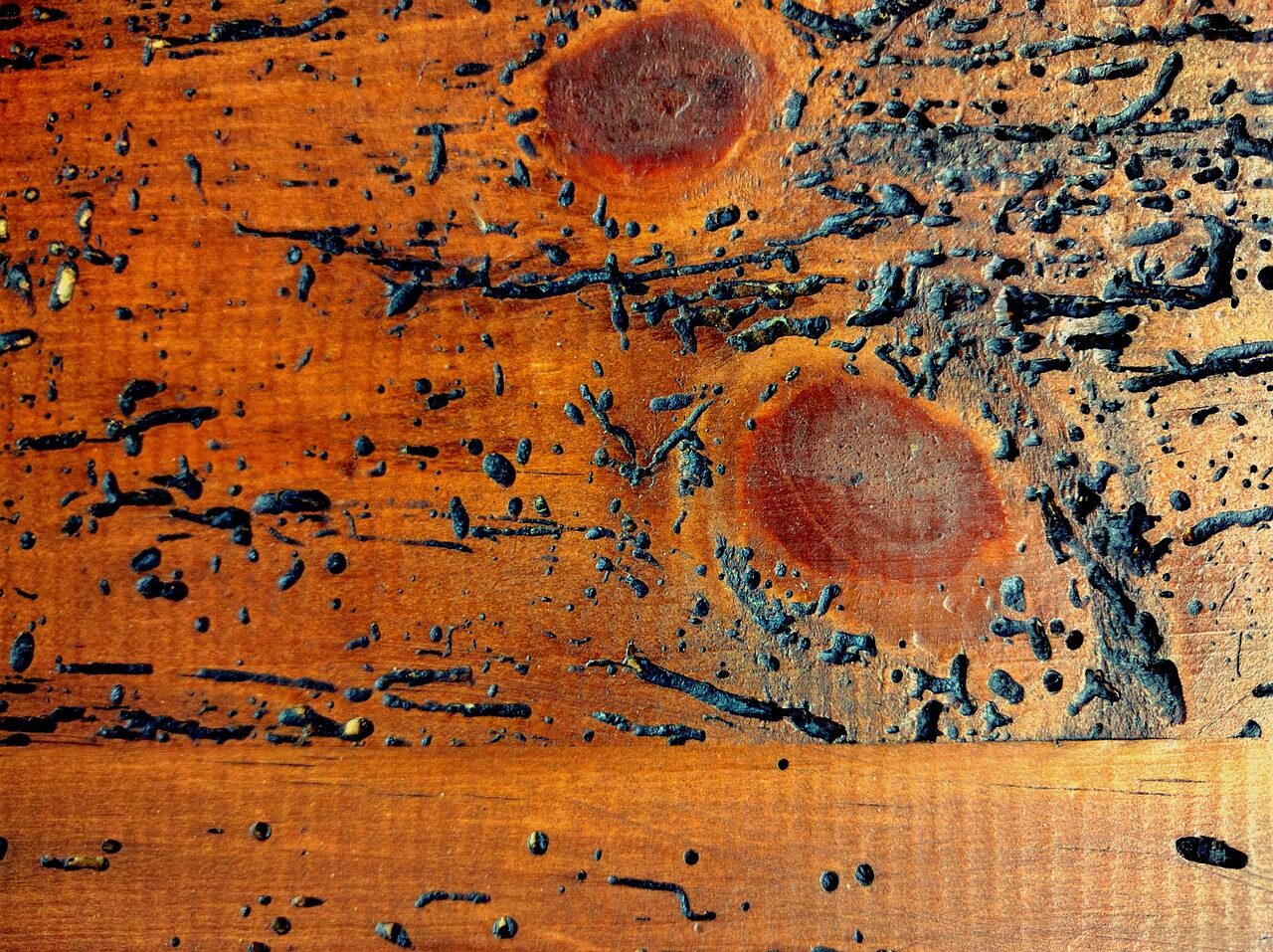 Sacar la carcoma de la madera