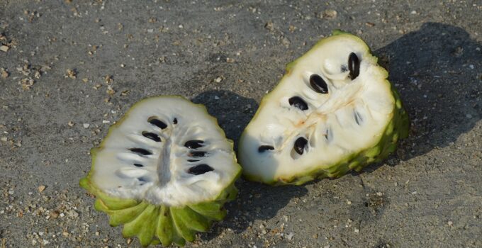 La chirimoya elimina los piojos