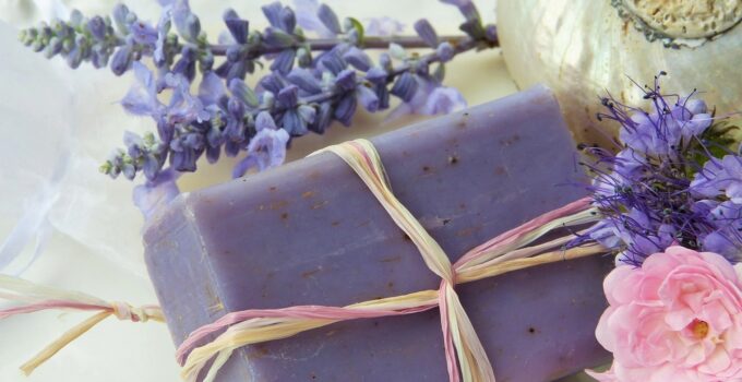 tips para combatir las avispas