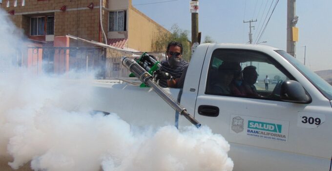 Tratamientos para acabar con las carcomas