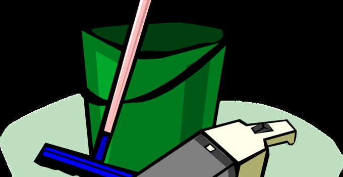 Estrategias naturales para eliminar avispas