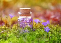 Estrategias naturales para eliminar ácaros