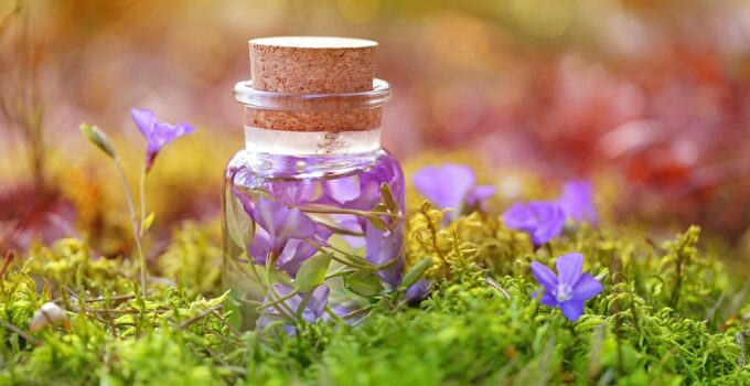 Estrategias naturales para eliminar ácaros