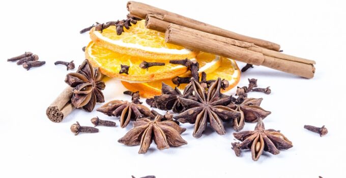 Como ahuyentar las cucarachas