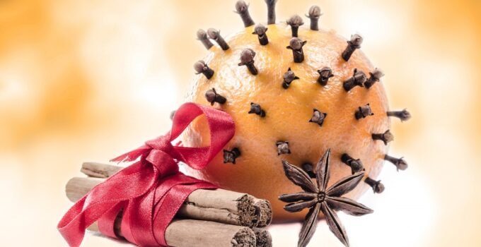 Aprende a alejar las moscas de tu hogar