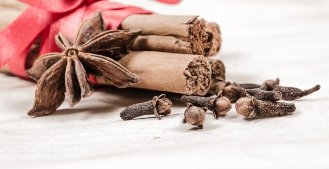 Aprende a alejar las chinches de tu hogar