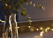 Estrategias naturales para eliminar mosquitos