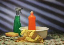 Trucos caseros para acabar con las termitas