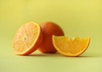 mejores tips para combatir las termitas
