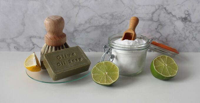 Como deshacerse de las avispas