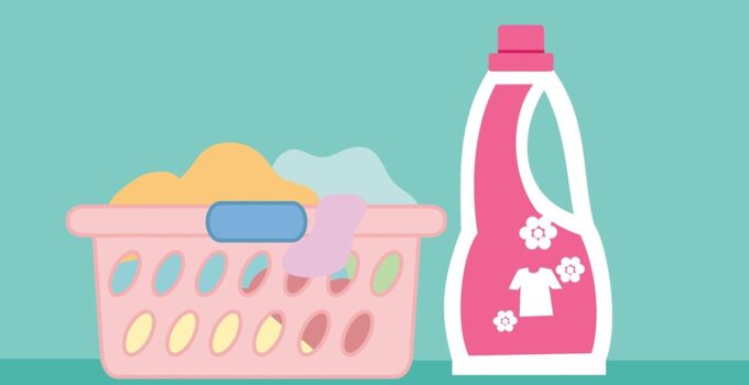 Como combatir las chinches de manera natural