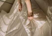 Descubre si hay polillas en casa con estos trucos