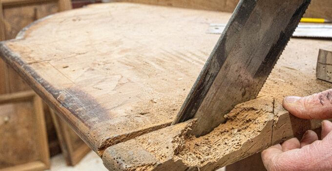 Eliminar la carcoma de una vez por todas