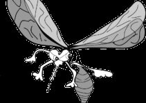 Como evitar que los mosquitos entren en casa