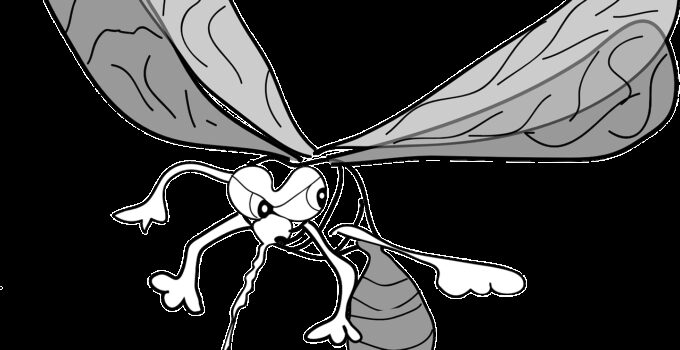 Como evitar que los mosquitos entren en casa