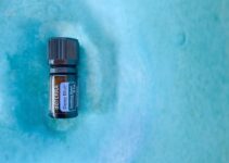 Trucos para deshacerse de las hormigas