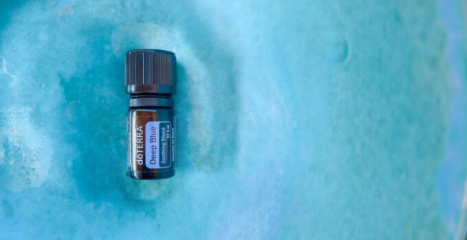 Trucos para deshacerse de las hormigas