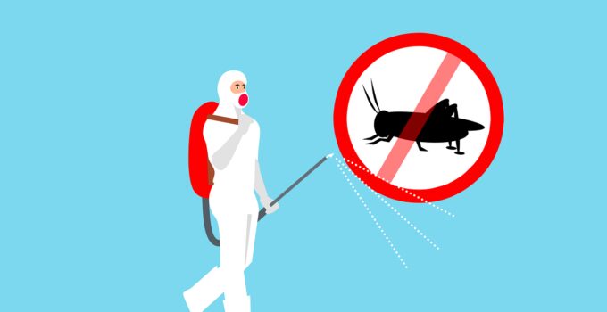 Pesticidas para chinches