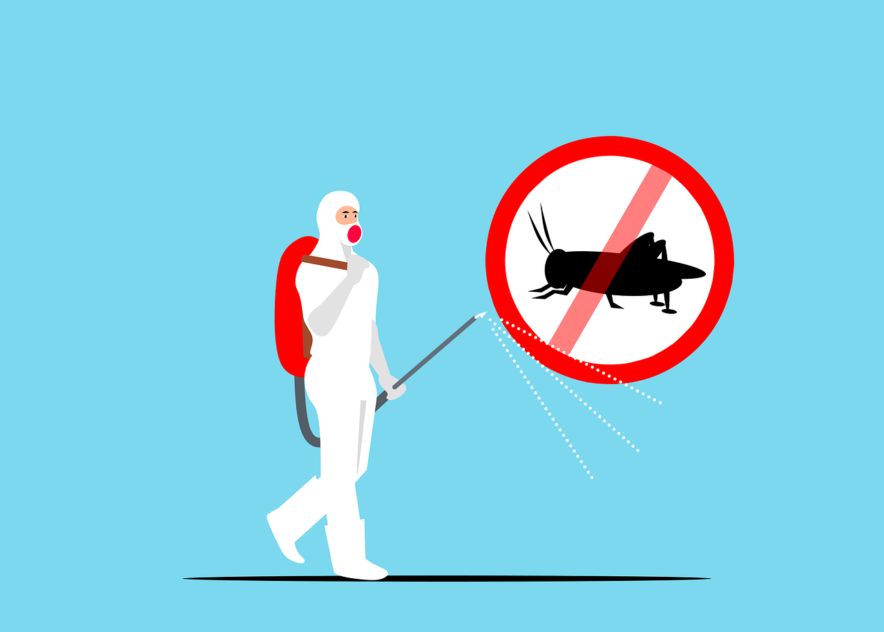 Pesticidas para chinches