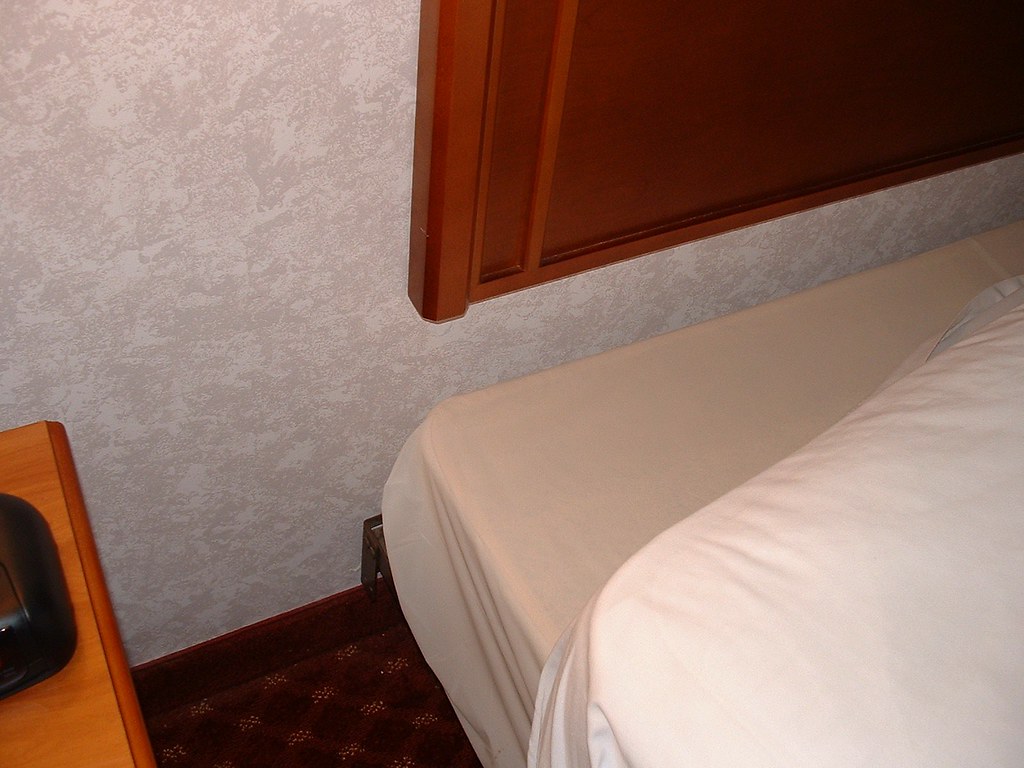 Como evitar las chinches en tu casa