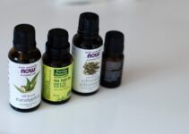 Repelentes naturales contra las cucarachas