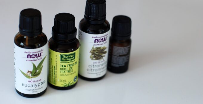 Repelentes naturales contra las cucarachas