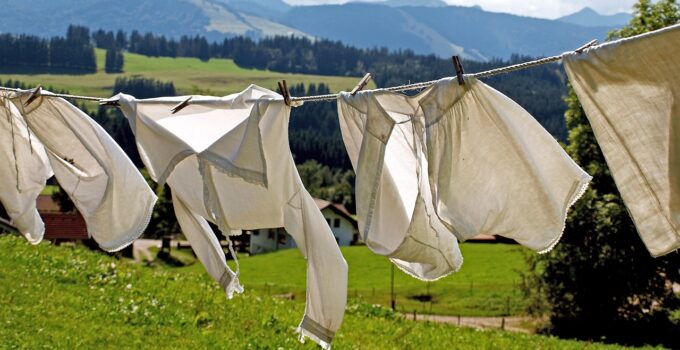 mejores tips para combatir las polillas