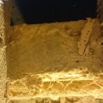 Aprende a alejar las termitas de tu hogar