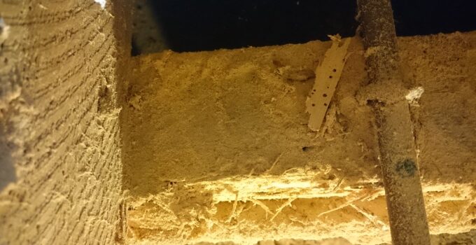 Aprende a alejar las termitas de tu hogar