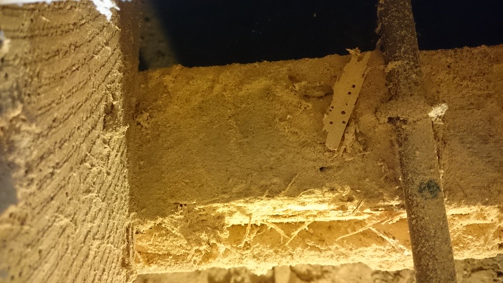 Aprende a alejar las termitas de tu hogar