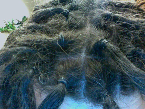 Eliminar las liendres