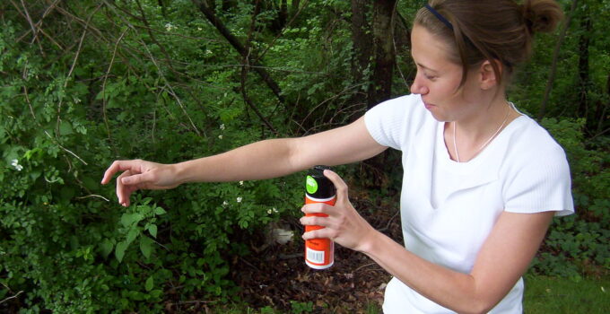 Aprender a ahuyentar las moscas de casa