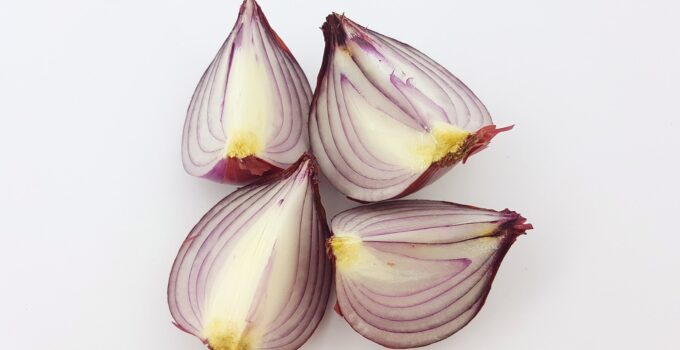 Técnicas efectivas para matar avispas