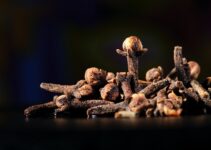 Remedios caseros contra las polillas