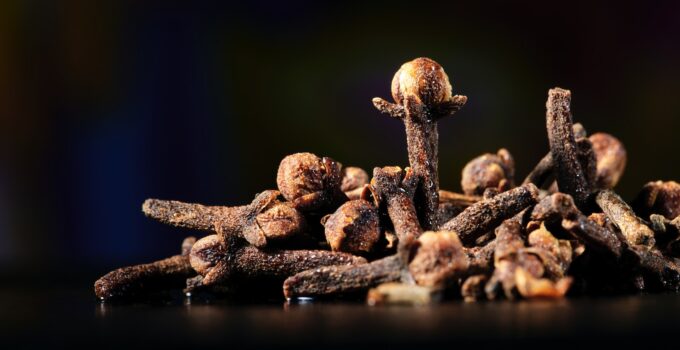 Remedios caseros contra las polillas