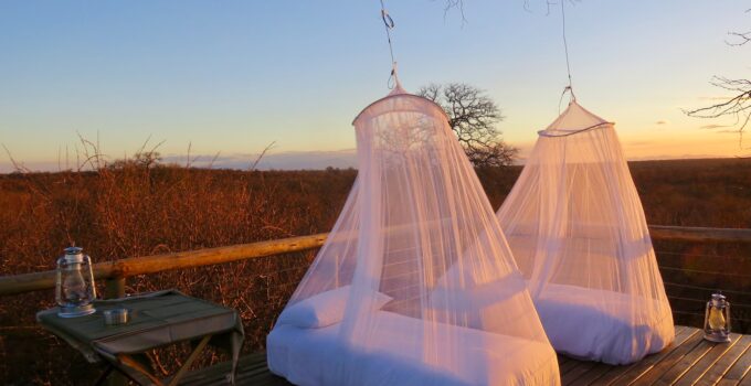 invasión de mosquitos