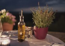 Remedios caseros que sí funcionan para eliminar los piojos