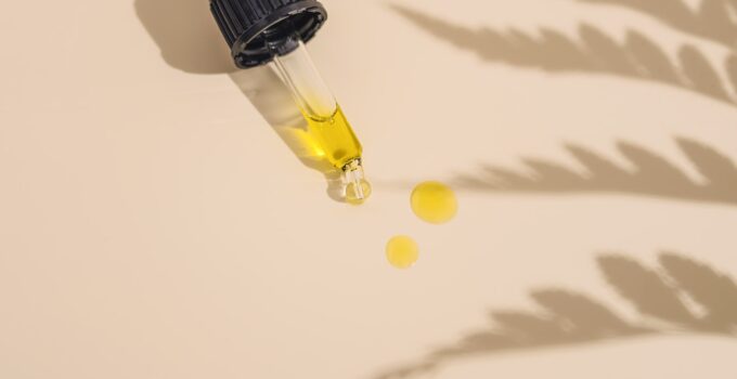 Como eliminar las hormigas de manera natural