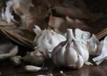 Trucos caseros para acabar con las garrapatas