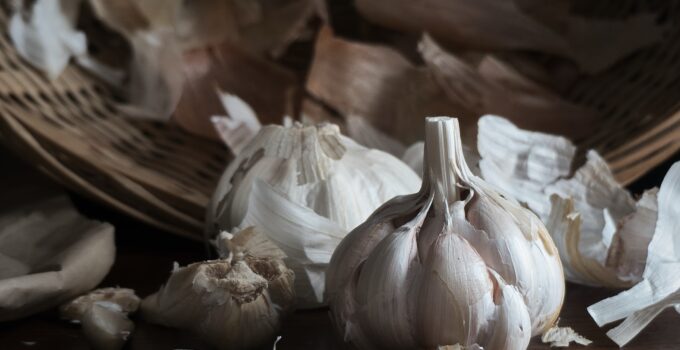 Trucos caseros para acabar con las garrapatas
