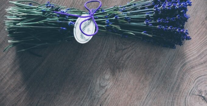 Repelentes naturales contra las polillas