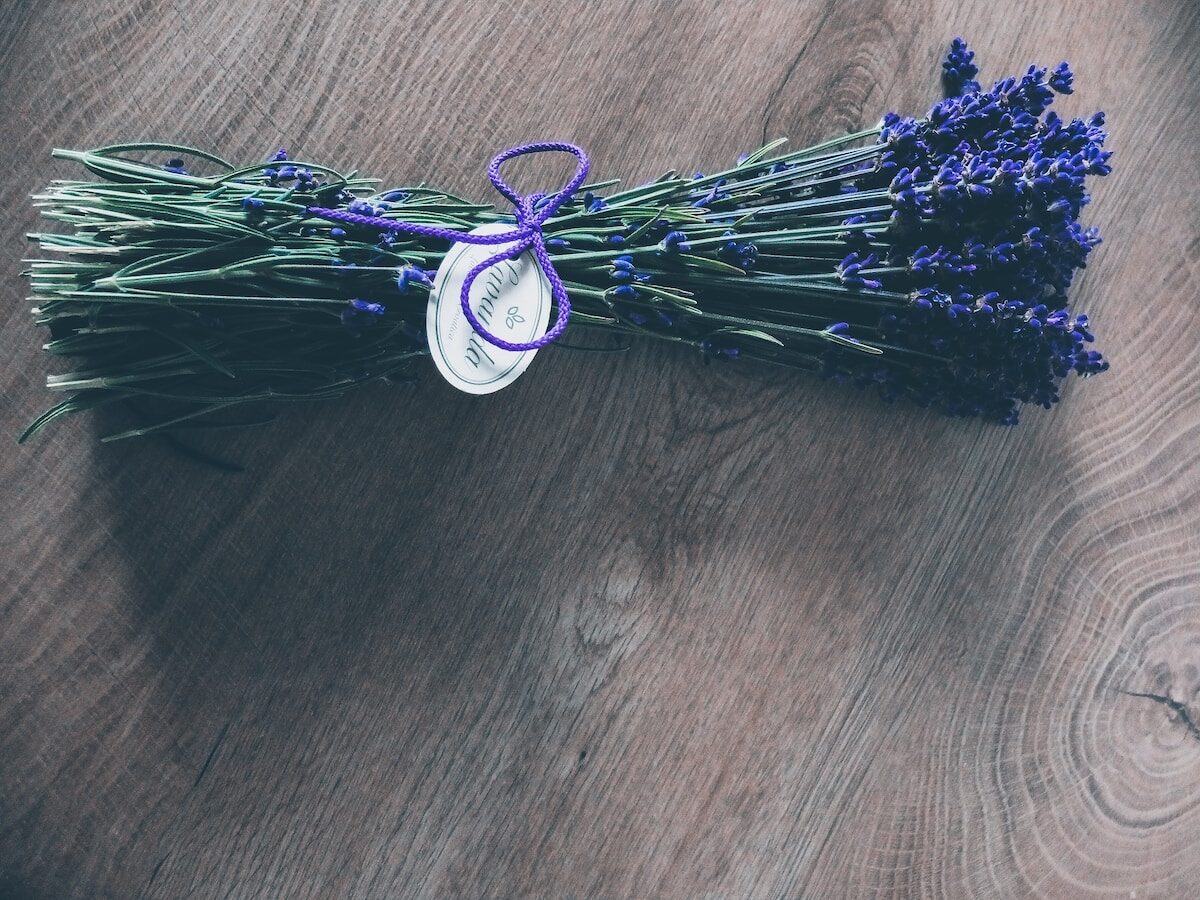 Repelentes naturales contra las polillas