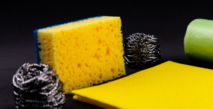 Aprende a alejar las polillas de tu hogar